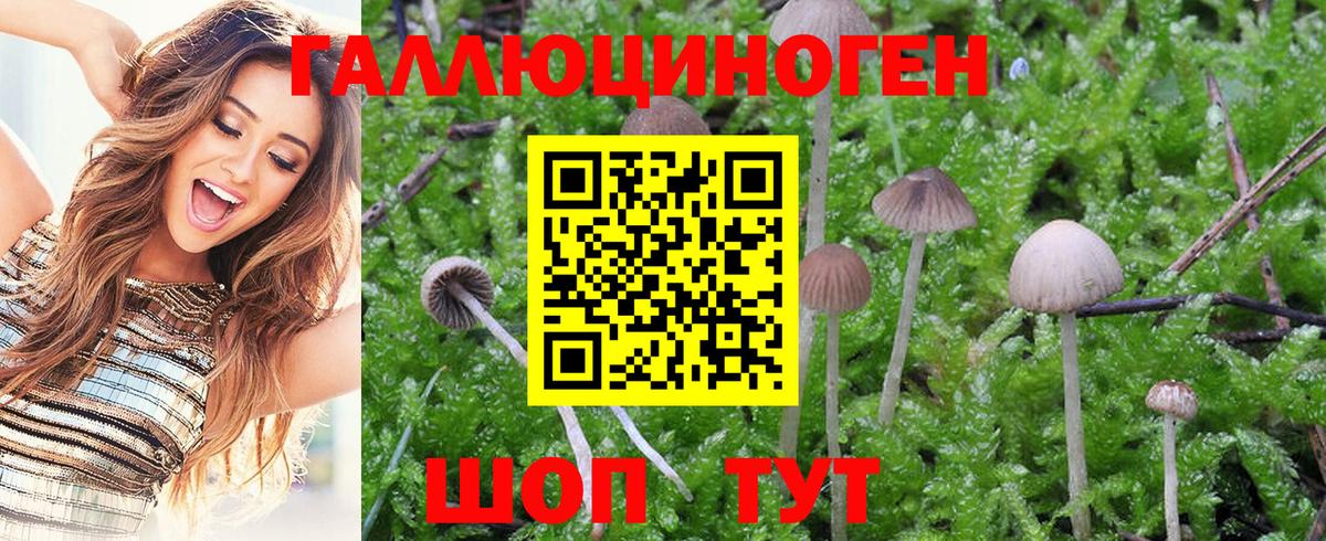 Псилоцибиновые грибы мухоморы Конаково