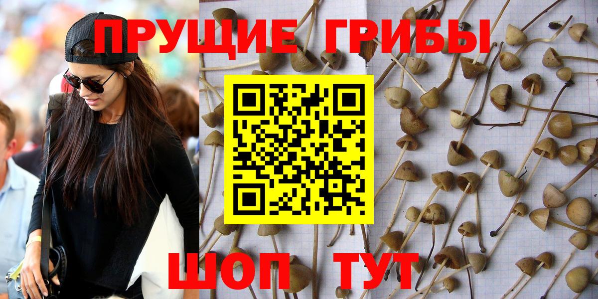 Галлюциногенные грибы Psilocybe  Галлюциногенные грибы MAGIC MUSHROOMS  Вход с VPN  продажа наркотиков  Конаково 